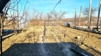 Bernecebaráti Családi ház