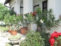 Tököl Családi ház